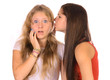 gossip