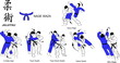 Jiu Jitsu Nage Waza 4