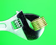 Green With Coins