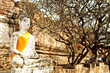 Buddha Status and Pagoda at Wat Yai Chaimongkol, Ayutthaya, Thai