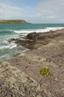 Cornish coast