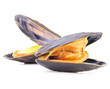 moules sur fond blanc