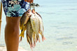 Sea Gypsies and andaman fish