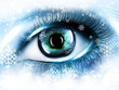 winter eye