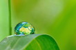 Terre écologique.