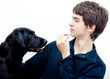 Positive dog training