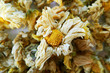 Photo: Chamomile flower for herbal tea Chamomile flower for herbal tea