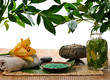 foliage spa
