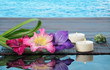 spa still life with lily
