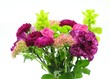 canvas print picture - bouquet