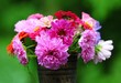 canvas print picture - bouquet