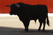 toro