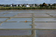 marais salants à Guérande en Loire-Atlantique