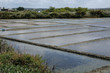 marais salants à Guérande en Loire-Atlantique