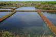 marais salants à Guérande en Loire-Atlantique