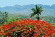 VinalesValley, Western Cuba