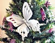 Navidad
