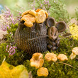 mouse