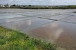 marais salants à Guérande en Loire-Atlantique