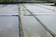 marais salants à Guérande en Loire-Atlantique