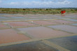 marais salants à Guérande en Loire-Atlantique