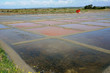 marais salants à Guérande en Loire-Atlantique