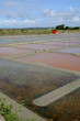 marais salants à Guérande en Loire-Atlantique