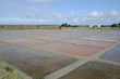 marais salants à Guérande en Loire-Atlantique