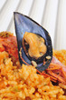spanish paella