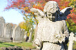 Cemetery