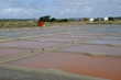 marais salants à Guérande en Loire-Atlantique marais salants à Guérande en Loire-Atlantique