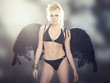 Fallen Angel