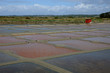 marais salants à Guérande en Loire-Atlantique marais salants à Guérande en Loire-Atlantique
