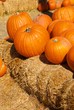 Bright Orange Pumpkins Stacked on Hay Bales Bright Orange Pumpkins Stacked on Hay Bales