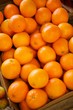 Navel Oranges in a crate Navel Oranges in a crate