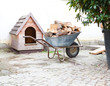 Firewood