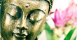 Buddha Meditation