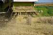 erntezeit