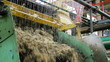Video: Sugarcane pulp (bagasse) coming out of the mulch machine Sugarcane pulp (bagasse) coming out of the mulch machine