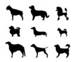 Silhouettes of dogs
