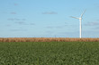 Single wind turbine on a landscape Single wind turbine on a landscape