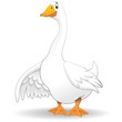 Oca Papero Fumetto-Goose Duck ...