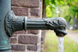 Drachen Wasserpumpe