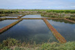 marais salants à Guérande en Loire-Atlantique marais salants à Guérande en Loire-Atlantique