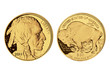 50 Dollar Büffel / Buffalo Gold USA