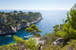 Calanques of Port Pin in Cassis, France