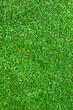 Grass field