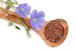 Leinsamen mit blauen Leinblumen, linum