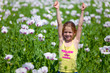 Young girl with hands up in field of white poppy