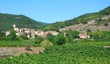 Entre vignes et collines